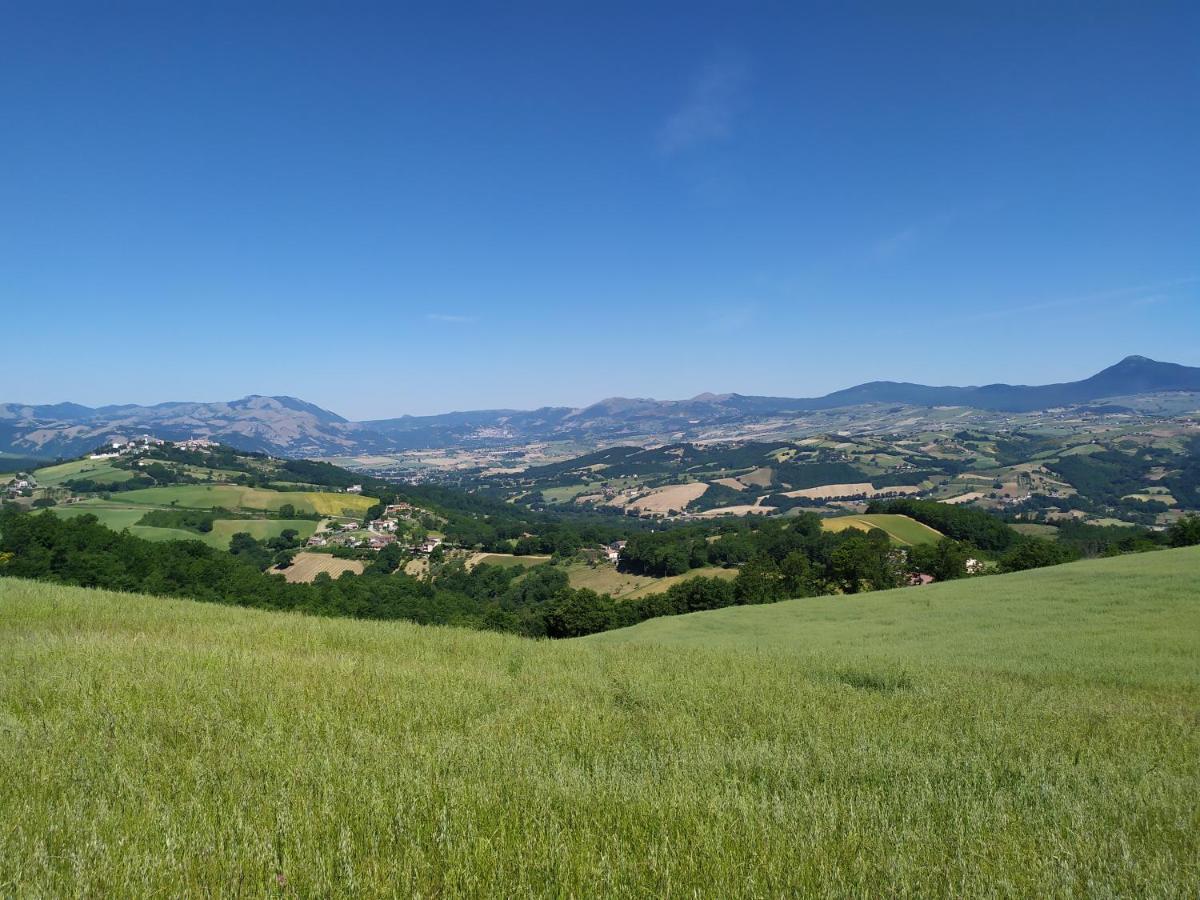 All Inbasilicata Bed & Breakfast Baragiano ภายนอก รูปภาพ