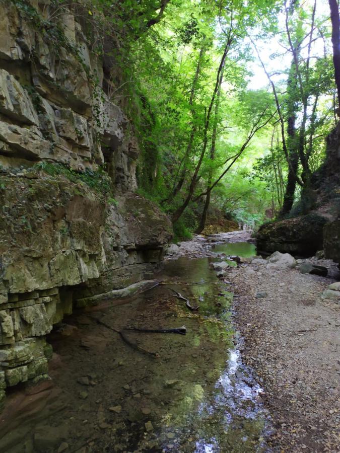 All Inbasilicata Bed & Breakfast Baragiano ภายนอก รูปภาพ